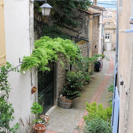 Maison Rives - Village Du Livre De Montolieu Экстерьер фото