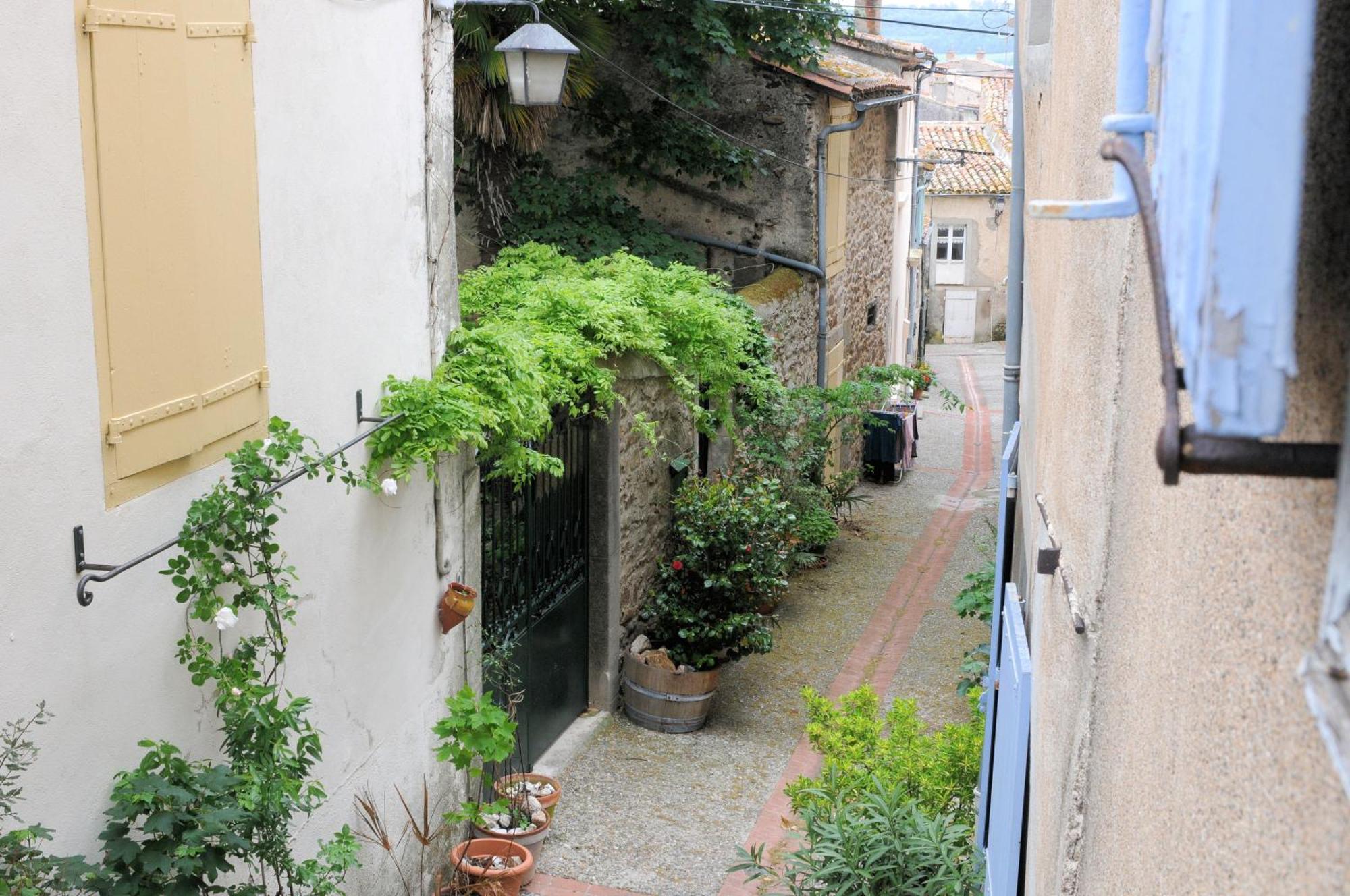 Maison Rives - Village Du Livre De Montolieu Экстерьер фото